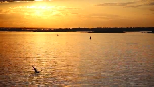 Żaglówka Morzu Zachodzie Słońca Piękny Zachód Słońca Nad Rzeką Piękny — Wideo stockowe