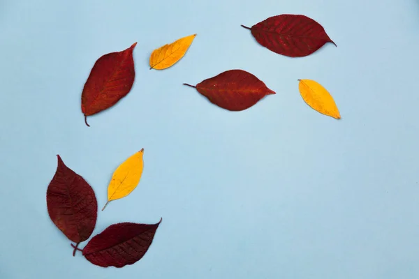 Herfst samenstelling. Herfst kleurrijke bladeren ingelijst op blauw papier achtergrond. — Stockfoto