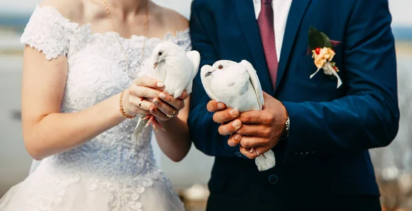 Piccioni nuziali in mani dello sposo e la sposa — Foto Stock