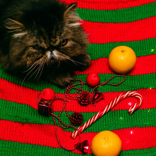 Vánoční pozadí. pletený svetr a vánoční ozdoby, pohled shora. — Stock fotografie