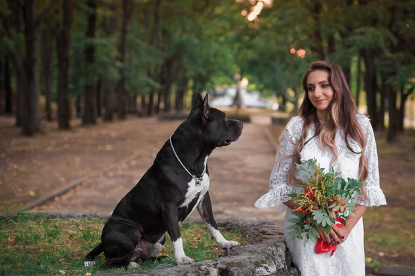 Elegant Meisje Een Witte Jurk Met Haar Hond Pitbull Terrier — Stockfoto