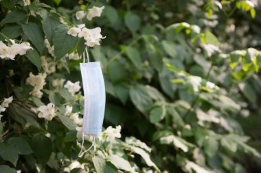 Çiçek açan bir ağaçtaki parkta tıbbi maske. Mevsimlik Alerji. Salgının sonu, Coronavirus COVID 19.