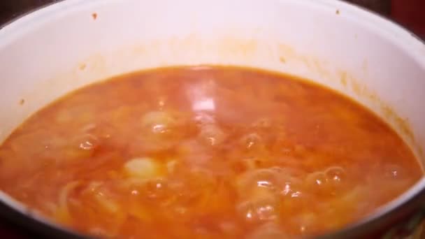 Salsa di pomodoro. Salsa di pomodoro bollente a base di pomodori freschi maturi tritati. — Video Stock