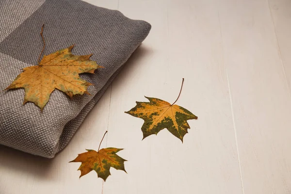 秋天的作文 色彩艳丽的叶子 白色的木制乡村背景和典雅的灰色围巾 秋天的概念 平面布局 顶视图 复制空间 — 图库照片