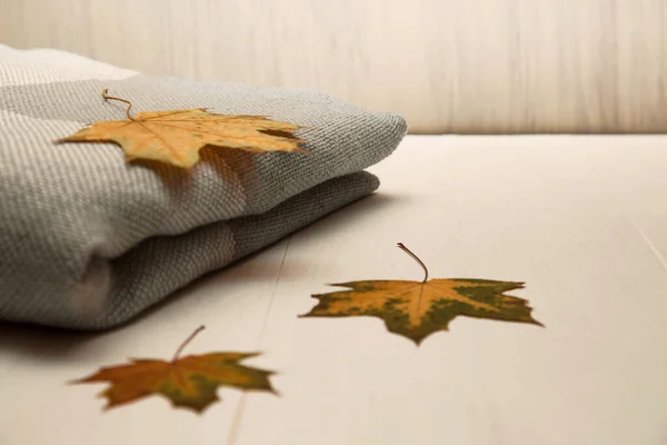 Karierte Und Herbstliche Ahornblätter Natürliche Blätter Des Ahornbaums Und Gemütliche — Stockfoto
