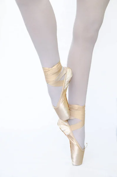 Rosa pointe beyaz bacground Balleinas bacaklar — Stok fotoğraf