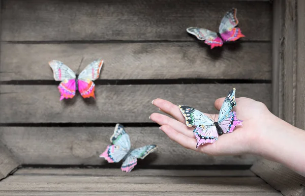 Arka Plan Ağaç Kelebekler Ile Bir Dekoratif Bir Renkli Kelebek — Stok fotoğraf