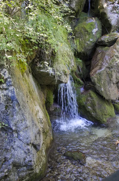 Moos ile kaplı taşlar arasında küçük şelale