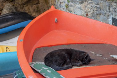 Black cat sleeping in a red boat clipart
