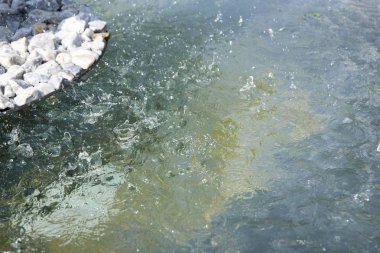 Suya düşen damlalar, sıçramalar, taşlar