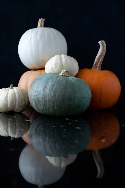 Sammansättning Olika Färger Och Storlekar Pumpor Reflektera Yta Svart Bakgrund — Stockfoto