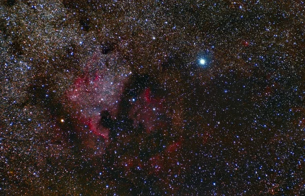 Nebulosa Del Nord America Costellazione Del Cygnus Deneb Astrofotografia Telescopio — Foto Stock