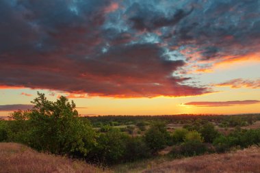 Yeşil bozkır ağaçlar üzerinde sihirli günbatımı. Bozkır günbatımında. Yaz güzel gün batımı. Zemin üzerinde güzel bulutlar