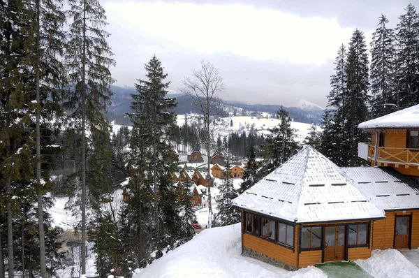 on the mountainside in the forest are houses covered with snow