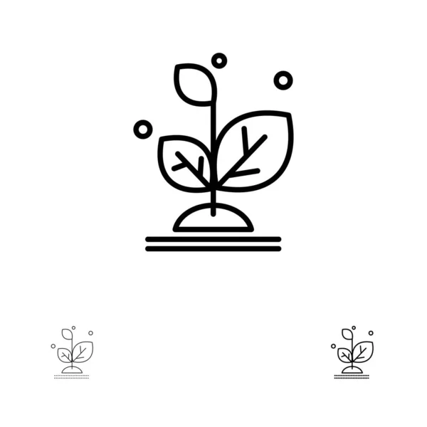 Растение, рост, рост, успех смелые и тонкие черные линии иконки набор — стоковый вектор