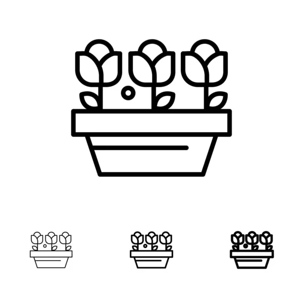 Kwiat, wzrost, roślina, wiosna pogrubienie i cienka Czarna linia ikona zestaw — Wektor stockowy