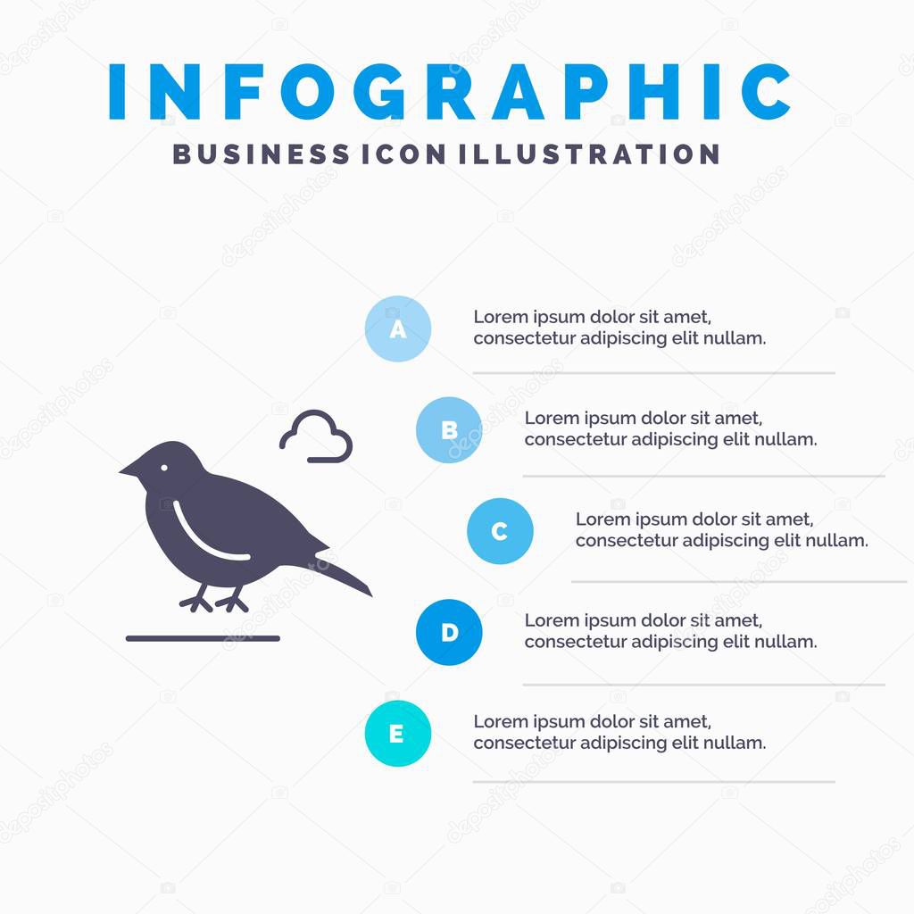 Bird, British, Small, Sparrow Solid Icon Infographics 5 Steps Pr