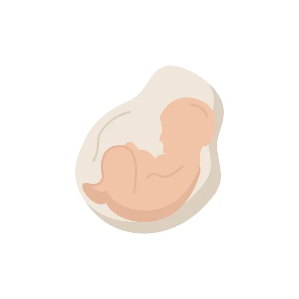 Baby, těhotenství, březí, porodnictví, plod plochý barevný symbol vec — Stockový vektor