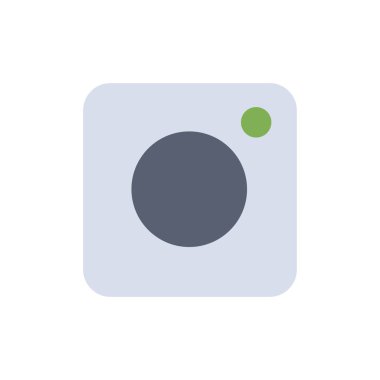 Kamera, Instagram, Fotoğraf, Sosyal Düz Renk Simgesi. Vektör simgesi b