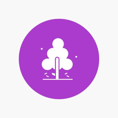 Doğa, Çam, Bahar, Ağaç