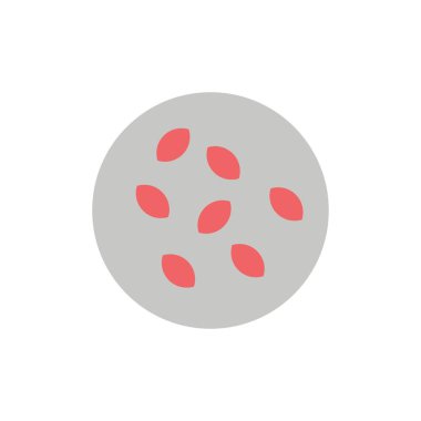 Tohum, Susam, Susam, Seamus Düz Renk Simgesi. Vektör ico