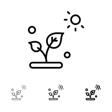 Biyoloji, Bitki, Bilim, Güneş Kalın ve ince siyah çizgi simge seti