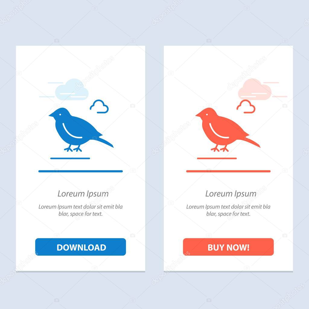 Bird, British, Small, Sparrow  Blue and Red Download and Buy Now