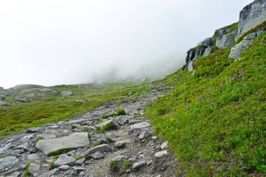 Trolltunga iz, Norveç