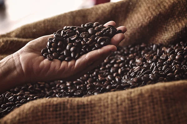 cropped shot of man holding heap of roasted coffee beans in hand