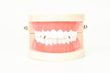 Beyaz arka plan üzerinde diş yanlış jaws