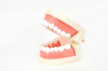 Beyaz arka plan üzerinde diş yanlış jaws