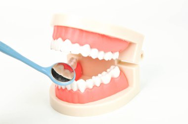 Diş Ayna ve beyaz arka plan üzerinde yanlış jaws