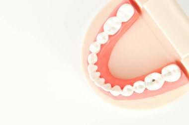 Sahte diş çene üstten görünüm beyaz arka plan üzerinde