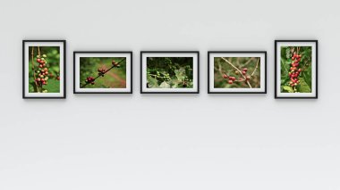 Duvar - kahve resim (3d render üzerinde fotoğraf çerçevesi)