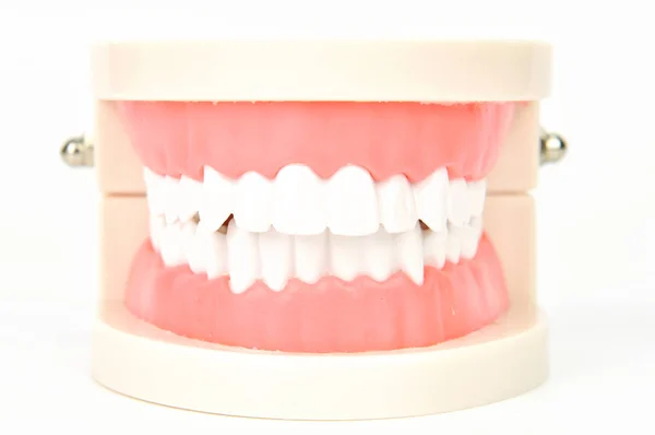 Tandheelkundige Valse Kaken Witte Achtergrond — Stockfoto