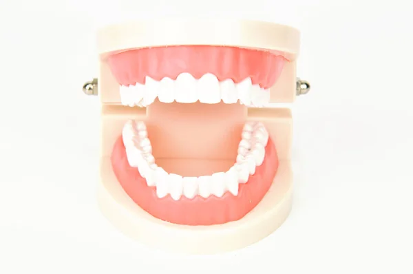 Beyaz Arka Plan Üzerinde Diş Yanlış Jaws — Stok fotoğraf