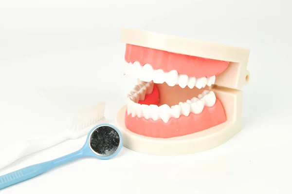 Lusterko Dentystyczne Fałszywe Szczęki Białym Tle Elektryczna Szczoteczka Zębów — Zdjęcie stockowe