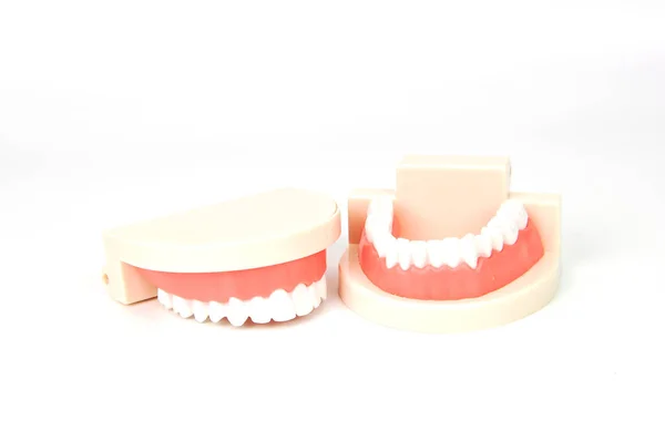 Tandheelkundige Valse Kaken Witte Achtergrond — Stockfoto