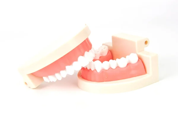 Mandíbulas Falsas Dentárias Fundo Branco — Fotografia de Stock