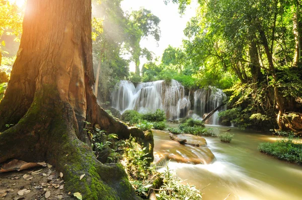 Barış şelale Phayao Tayland at