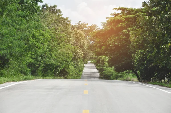 Country Road Thailand — Stock Photo, Image