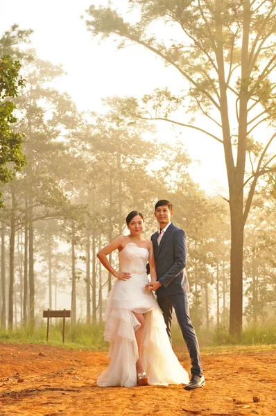 Před Svatební Fotografie Asijských Páru — Stock fotografie