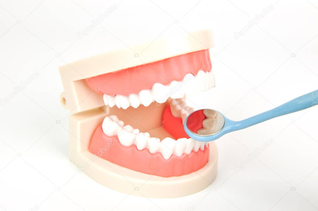 dental mirror and false jaws on white background