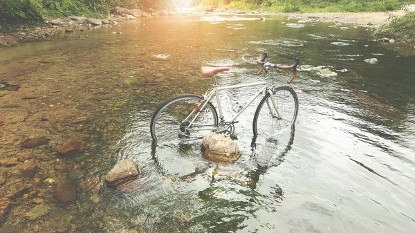 빈티지 자전거 렌즈에 플레어 — 스톡 사진