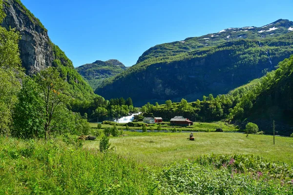 Flam Norveç, şelale ile kırsal çiftlik — Stok fotoğraf