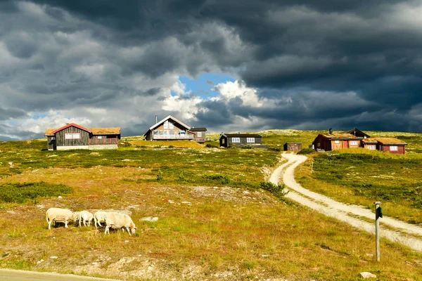 Mysuaeter otta venkov na Norsko — Stock fotografie