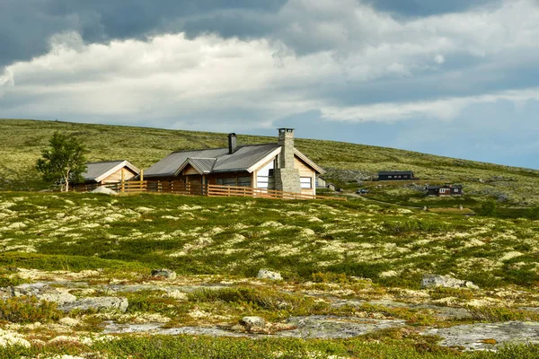 Mysuaeter otta campo en Noruega — Foto de Stock