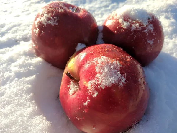 Frozen Red Apples White Snow — Stock Photo, Image