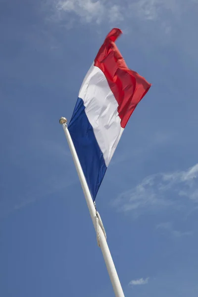 french flag on a mat floating in the wind