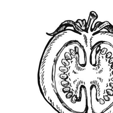 Elle çizilmiş domates kümesi. Eco organik gıda.